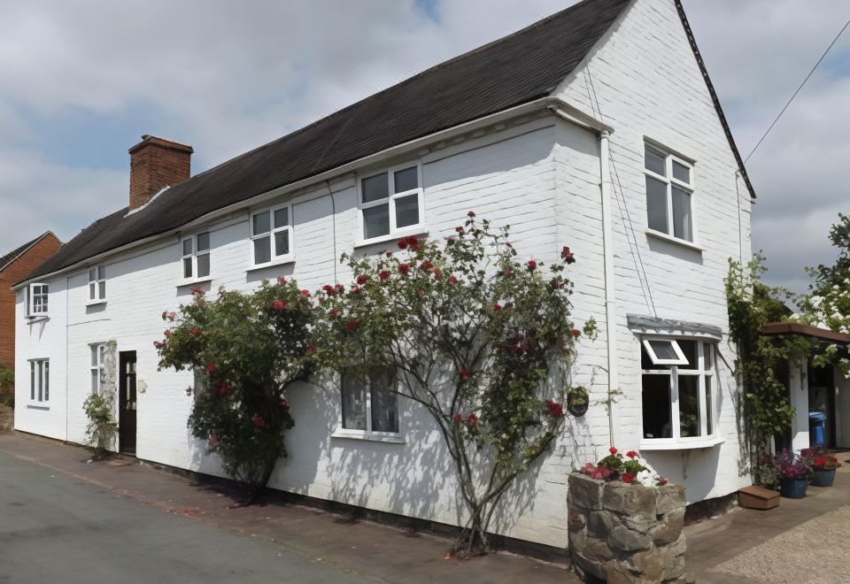 White Cottage Bed and Breakfast