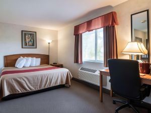 Econo Lodge Inn & Suites Canandaigua