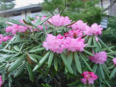 その他 草津温泉望雲の写真