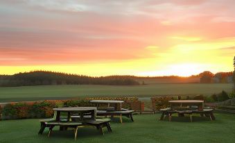 a serene sunset view over a field with picnic tables and benches , set against the backdrop of rolling hills at Allanton Inn