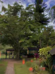 Bahareque Hostal Các khách sạn gần Universidad del Tolima
