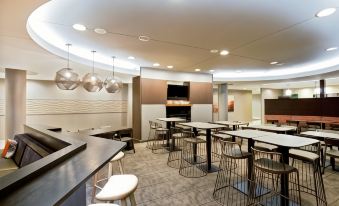 SpringHill Suites Chesapeake Greenbrier