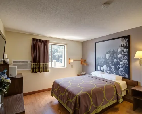 曾斯維爾温德姆速8酒店 馬斯金格姆縣酒店