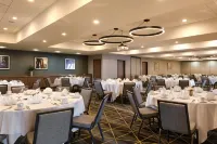 Holiday Inn & Suites Oakland - Airport Hotels in San Leandro