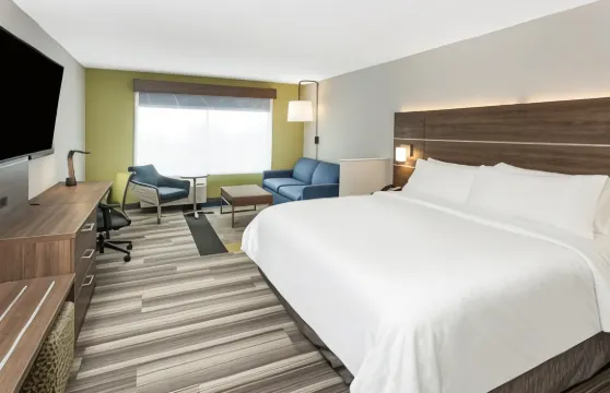 哈德森I-94號智選假日套房酒店