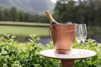 Brokenback Views Country Estate Hunter Valley فنادق في Broke