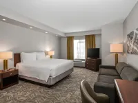 SpringHill Suites Phoenix Glendale Sports & Entertainment District Hotels near Camelback Ranch