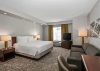 SpringHill Suites Phoenix Glendale Sports & Entertainment District