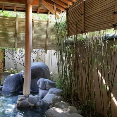 Satoya Ryokan Hotels near Taihaku Ward