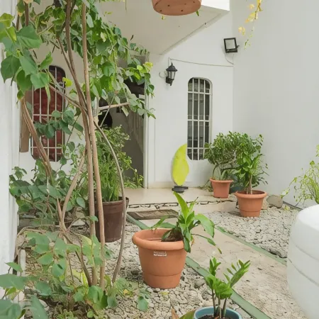 Hostal Loco Coco Loco