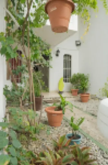 Hostal Loco Coco Loco Hotels in 