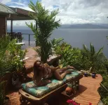 Naveria Heights Lodge Hotels in Savusavu