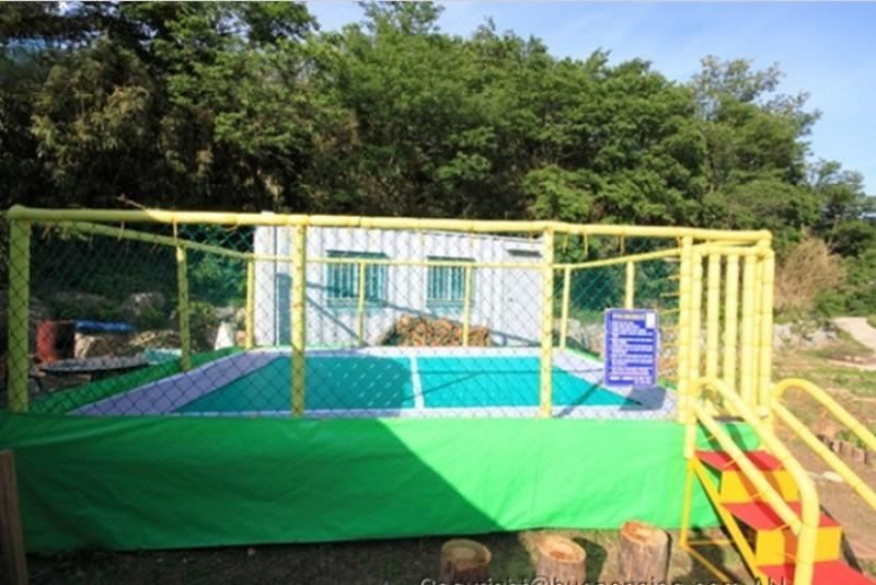 대관령황토펜션의 자연 속 외관