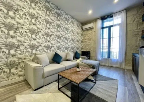 Montpellier: superb charming apartment