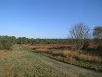 Fornham Guest House Các khách sạn ở Woking