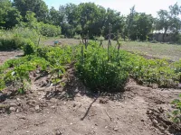 Koca Kapi Konaklama Hotels in 