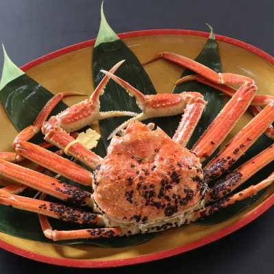 Echizenkaigan Tamagawa No Yado Iwamotoya