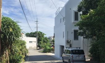 Front Field Anonymous Wave