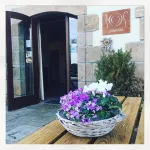 Olatzea Landa Hotela Hotels in Barranca