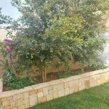 B&B "Sara" Hotel Exterior