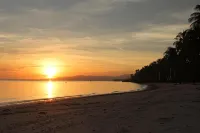 Anda White Beach Resort - Ocean View