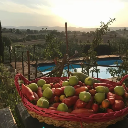 B&B Il Pettirosso di Siena