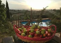 B&B Il Pettirosso di Siena - Huvilat