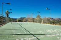 Magical and Luxury Villa/Tennis, Pool~Hot Spa, Views, Wine, Avocados - Villas