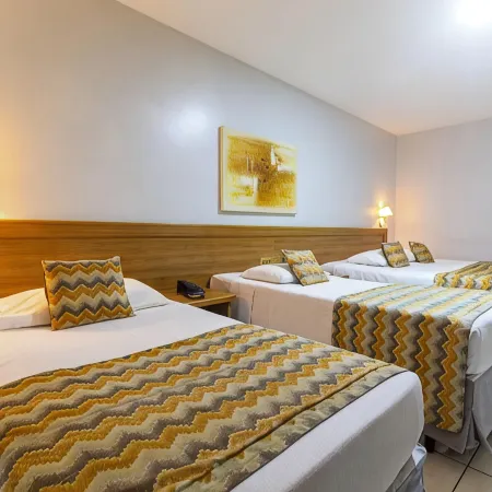 Hotel Golden Park Rio de Janeiro Aeroporto By Nacional Inn Отели рядом с достопримечательностью «Парк Фламенго»