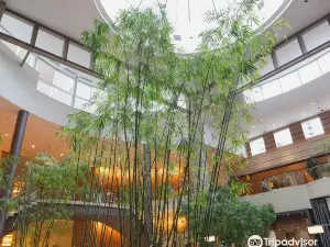 Hyatt Regency Bellevue