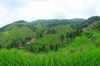 Xinhua Zixujie Deshan Farm - Inns
