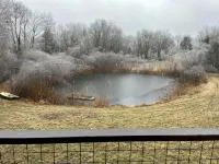 Cozy cabin in charming Kenoza Lake with WiFi, AC, pond,fire pit, lotof amenities