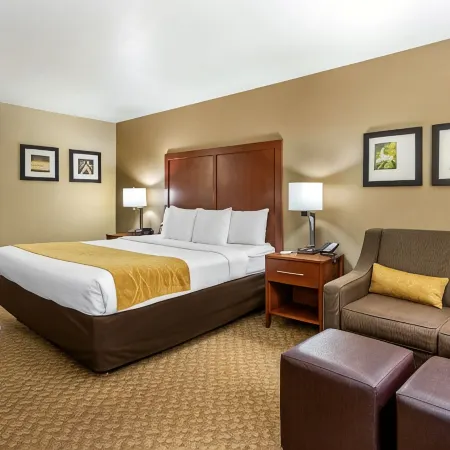 Comfort Inn & Suites Springfield I-44