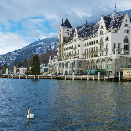 Park Hotel Vitznau Отели в г. Вицнау