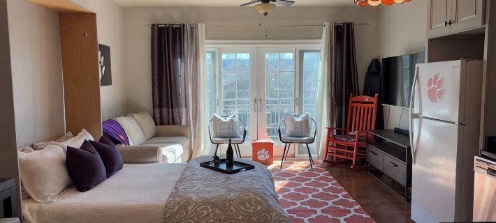 Cozy & convenient studio apartment with a view of Death Valley. Hotels in Clemson