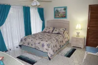 Oceanfront Condo - Four Steps to Beautiful Sugar Beach - Homestays