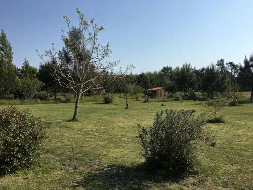 Maison en Pleine Nature Proche Océan - Jacuzzi 5 Places - 3-Star