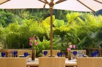 1 NIGHT FREE-GOLD AWARD WINNER - STAFFED LUXURY VILLA, OCEAN VIEW, POOL,& BAR