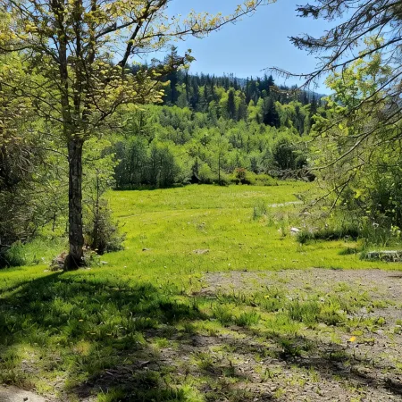 Peaceful, Cozy place in the woods. A short distance to everything good outdoors.