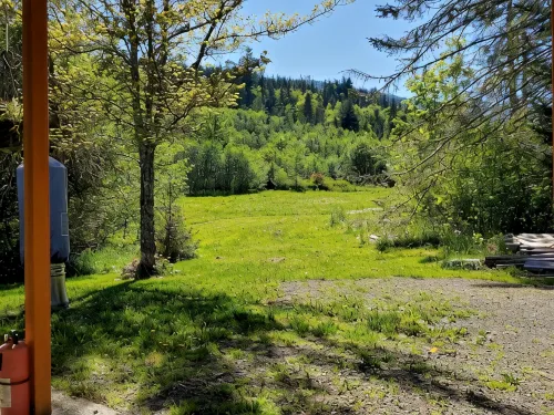Peaceful, Cozy place in the woods. A short distance to everything good outdoors. - Apartments