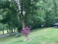 Beautiful lower level of house in nature with wildlife all around. - Alojamientos