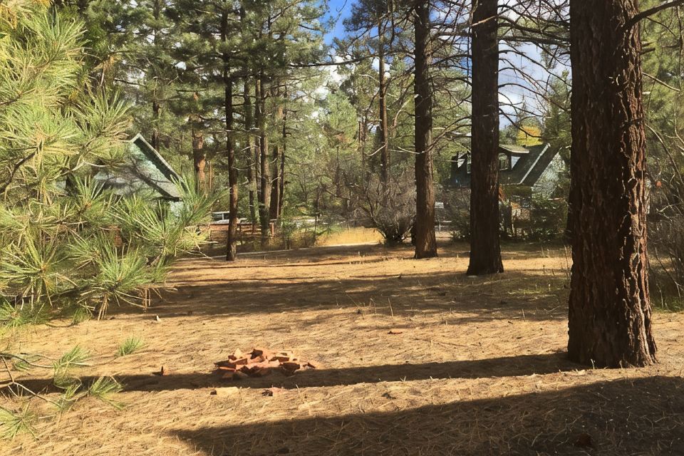 Photo 5 of 6