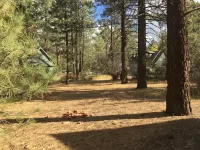 Big Bear Comfy Cozy Cabin - 4-Star
