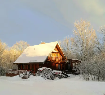 Hilltop Chalet with Stunning Forest Views Between Historic Westport and Perth