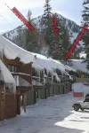 Easy walk to Canyon Lodge, private garage, EV charger. Great for families.