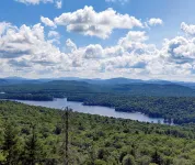 NEW ADIRONDACK LUXURY CABIN WITH YEAR-ROUND HEATED PLUNGE POOL - Chalets