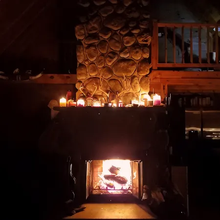 Perfect cozy cabin w/ tree house on 3 acres of woods near skiing, hiking & DWG