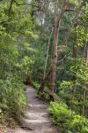 Secluded Luxury 2BR Rainforest Retreat Free Wi-Fi - Alojamientos