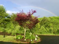 10 bedroooms/baths, 4 mi from VT - Wifi