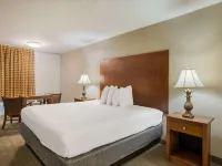 Econo Lodge Hotels in Toombs County